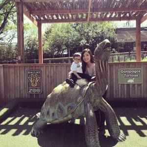 Meet your Posher, Maxine